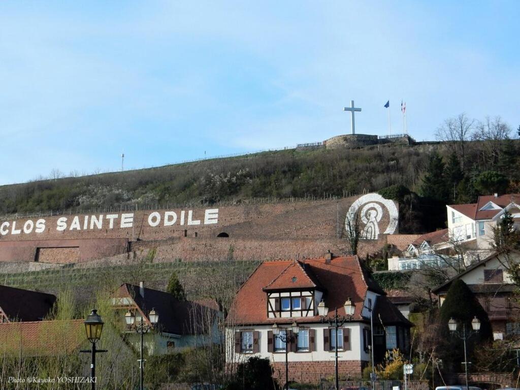 O Ciel D'obernai Appartamento